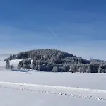 Jani *