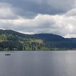 Jani