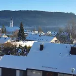 Jani *