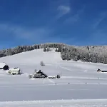 Jani Apartment Titisee-Neustadt