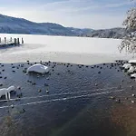 Jani