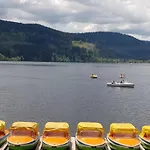 Apartment Jani Titisee-Neustadt