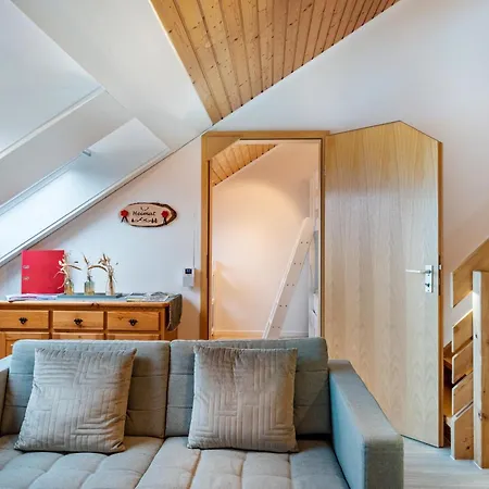 Jani * 티티제-노이슈타트