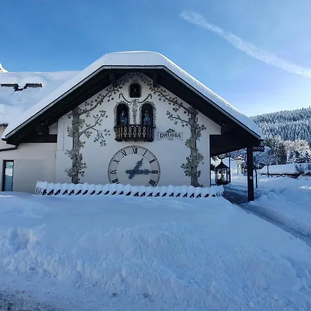 Jani Apartment Titisee-Neustadt