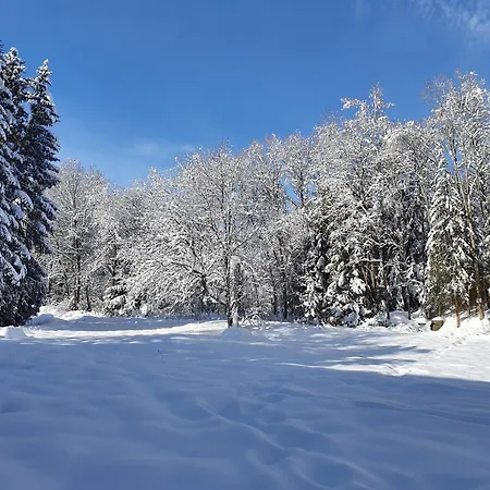 Jani * Titisee-Neustadt