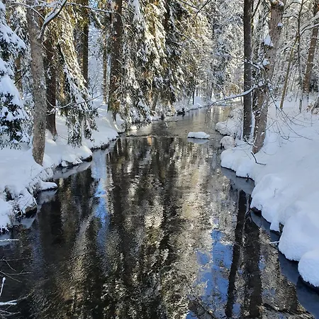 아파트 Jani 티티제-노이슈타트