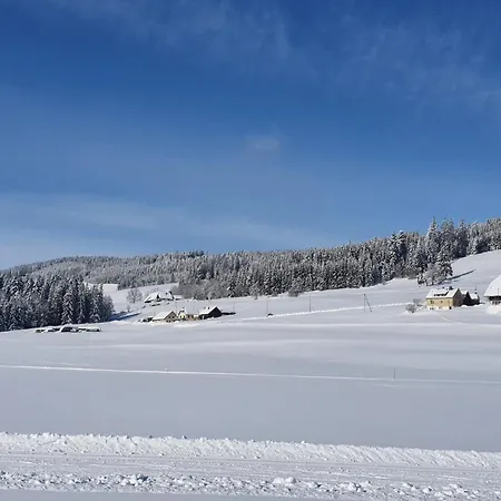 Jani Titisee-Neustadt