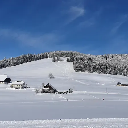 Jani Apartment Titisee-Neustadt