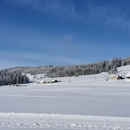Jani Titisee-Neustadt