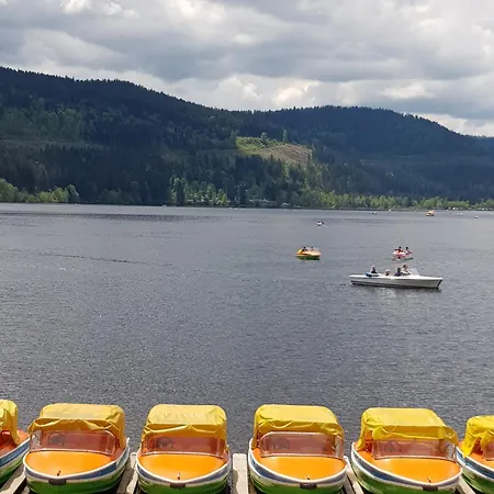 Apartamento Jani Titisee-Neustadt