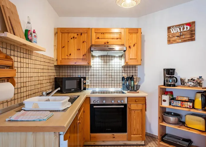 Jani Апартаменты Титизее-Нойштадт