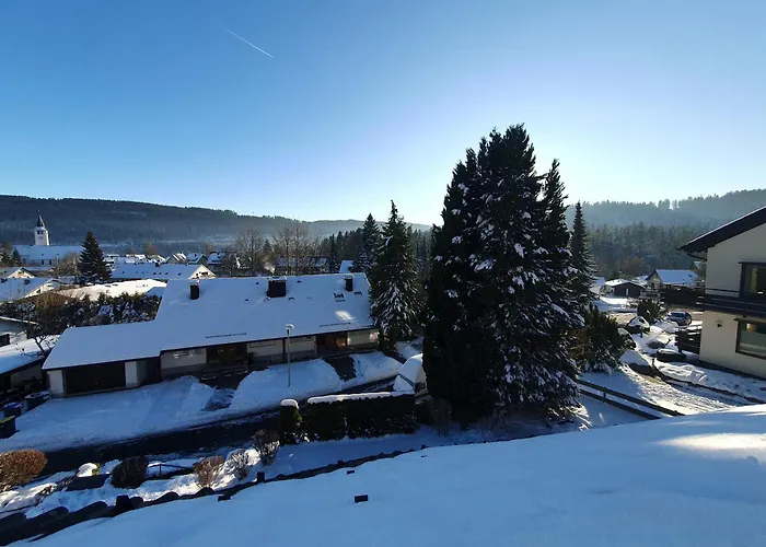 Jani Титизее-Нойштадт