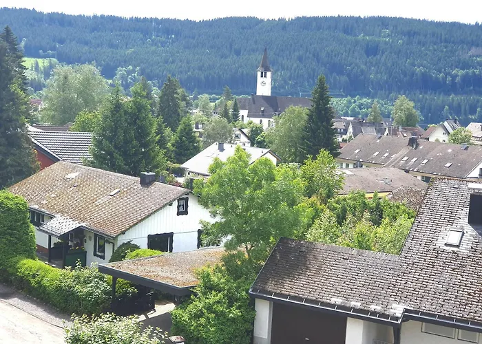 Jani Титизее-Нойштадт