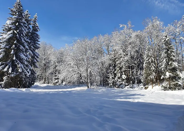 Jani * Титизее-Нойштадт