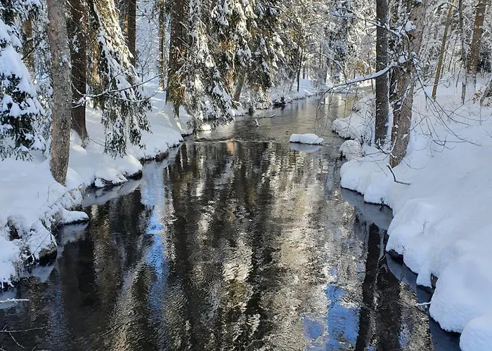 Апартаменты Jani Титизее-Нойштадт