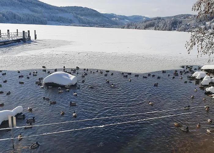 Апартаменты Jani *