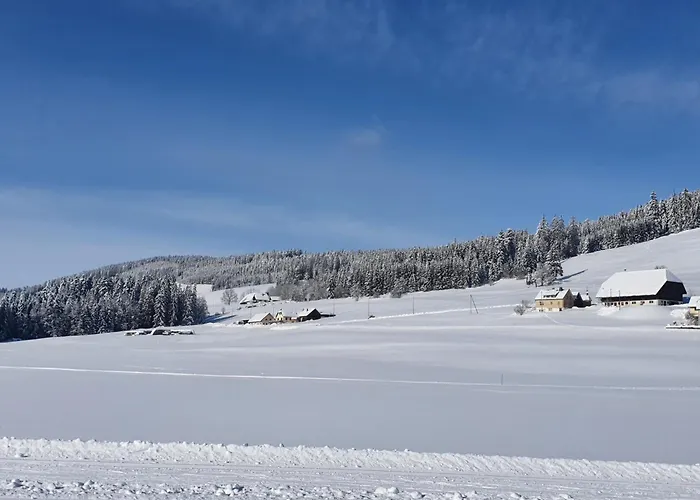 Jani Титизее-Нойштадт